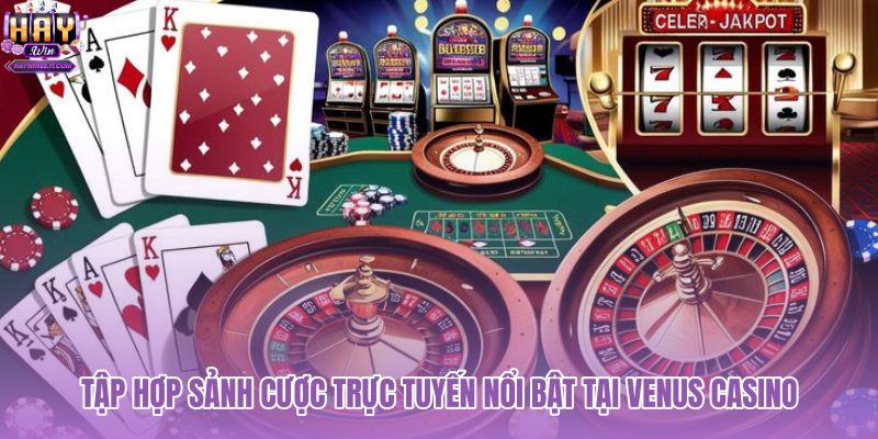tap-hop-sanh-cuoc-truc-tuyen-noi-bat-tai-venus-casino tap-hop-sanh-cuoc-truc-tuyen-noi-bat-tai-venus-casino